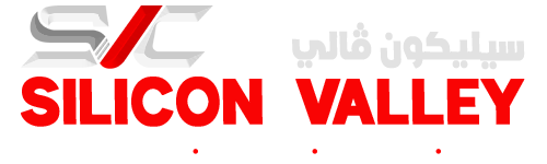 Silicon Valley Computers