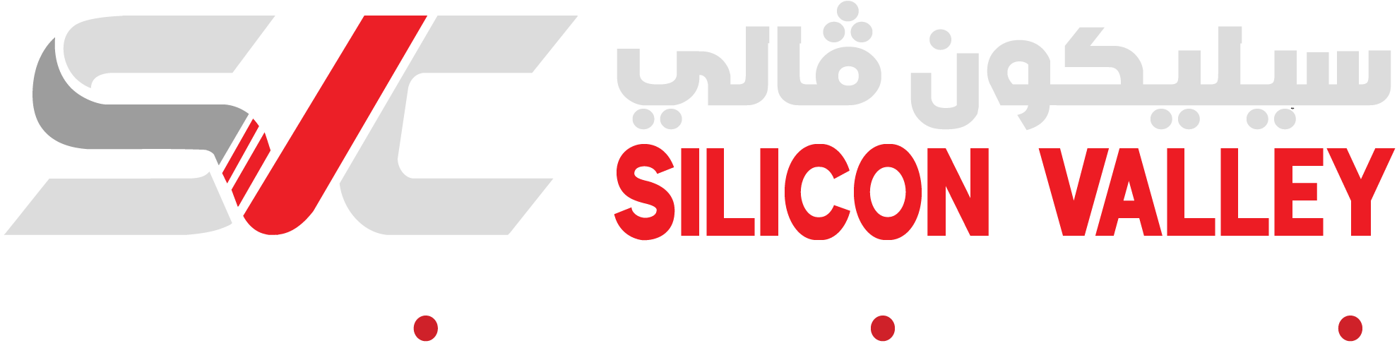 Silicon Valley Computers