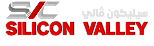 Silicon Valley Computers