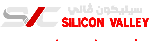 Silicon Valley Computers