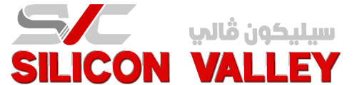 Silicon Valley Computers