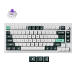 Keychron Q1 HE 75% Wireless Magnetic Mechanical Keyboard | Gateron Magnetic Nebula Switches