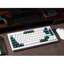 Keychron Q1 HE 75% Wireless Magnetic Mechanical Keyboard | Gateron Magnetic Nebula Switches