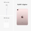 Apple 8.3" iPad Mini 2021 - 256GB, Wi-Fi Only, Pink