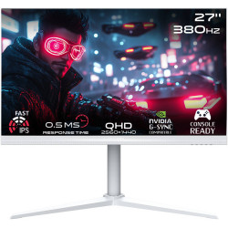 شاشة احترافية للالعاب - قيم اون اركتيك برو 27 بوصة QHD هيرتز 380- IPS و زمن استجابة 0.5ms - تدعم بلايستيشن 5 - أبيض