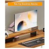 NORTH BAYOU F80-XM Monitor Mount - 17-30" - Gas Spring - 2-9kg - Gulf Blue