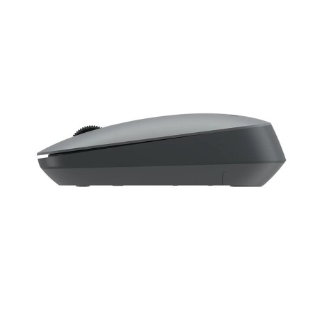 PHILIPS SPK7438G/55 dual wireless Mouse, 2.4GHz / Bluetooth, Ergonomic design, Up to 1600 DPI, Rubberized surface 55 ± 5 g (without battery), Grey