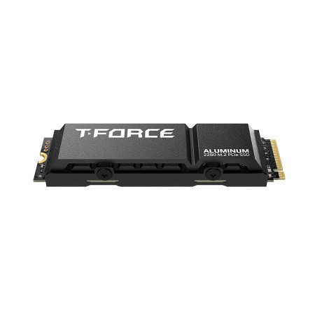 T-Force G70 PRO Heat-Sink, 4TB, PCIe Gen4 NVMe SSD, read up to 7400MB/s, 3D TLC NAND Flash, Compatible with PS5