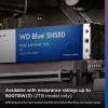 ويسترن ديجيتال WD Blue SN5000 M.2 – سعة 1 تيرابايت ويسترن ديجيتال WD Blue SN5000 M.2 – سعة 1 تيرابايت