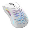 Glorious Model D2 Wireless Gaming Mouse - Matte White Glorious Model D2 Wireless Gaming Mouse - Matte White